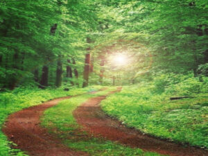 Why the Lausitzer Bergland Your next destination should be Screenshot youtube.com