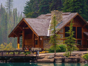 Experience pure nature: The Peitzer Land as a jewel of the Lausitz region Screenshot youtube.com