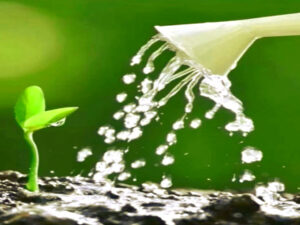 Zeissighof: A farm with a pulsating history Screenshot youtube.com