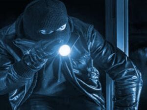 Government failure and targeted theft - the fainting of farmers Screenshot youtube.com