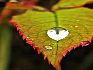 Screenshot-youtube-com-gfghgfhfghfgh-1