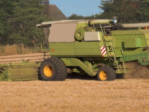 The Lausitzer Agriculture in Transition: Competition for Space and Rising Food Prices Screenshot youtube.com