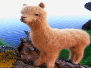 The growing popularity of alpacas in Lusatia Screenshot youtube.com