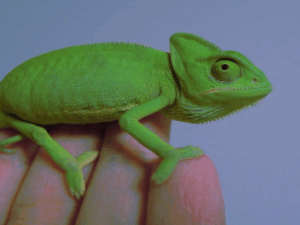 Stable and reliable basis for everyday and business Screenshot youtube.com