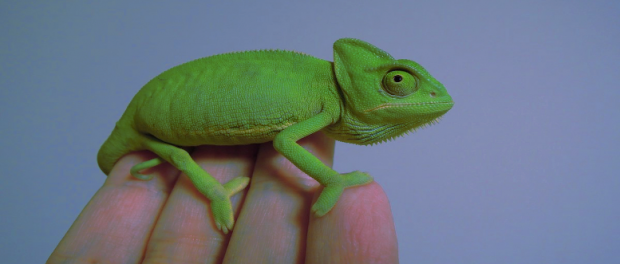 Screenshot youtube.com