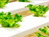 Screenshot youtube.com