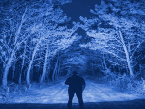 Screenshot-twitter-com-fgdfggfgf