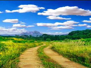 An impressive journey through the Lusatian mountains and the Bohemian Netherlands - nature, culture and pure inspiration Screenshot-twitter-com-hgggghh