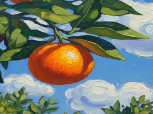 Tropical citrus plants as potted plants in Lusatia Screenshot youtube.com