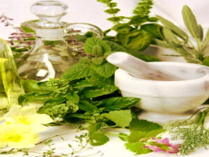 The long herbal culture in the Spreewald Screenshot youtube.com