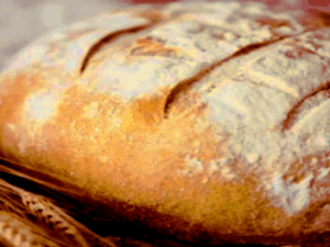 Screenshot-yandex.comasd-620×264-1