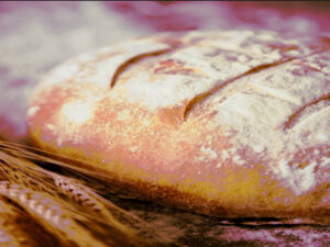 The double hidden tax - how CO₂ levy and truck toll hit the citizen Screenshot youtube.com