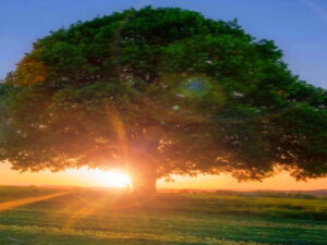 screenshot-youtube-com-gg.10.19-16_54_02-3