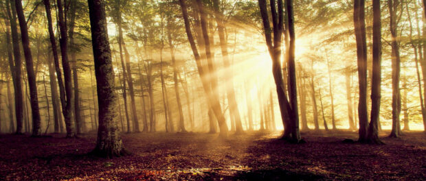 Screenshot youtube.com