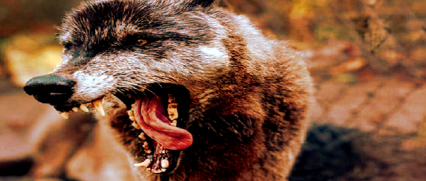 Screenshot youtube.com