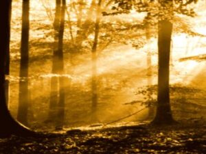 Screenshot-twitter-sdgsdgdssgsddssd5-620x264-1