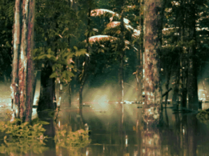 The Poison Murders in Ancient Rome - Riddles, Scandals and the Shadow of Death Screenshot-vimeo-com-dffdg3rr7-620×264-1