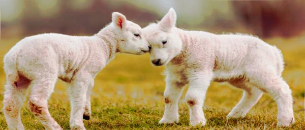 Screenshot youtube.com