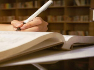 The importance of Lusatian local research for the region Screenshot youtube.com