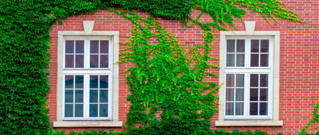 Screenshot youtube.com