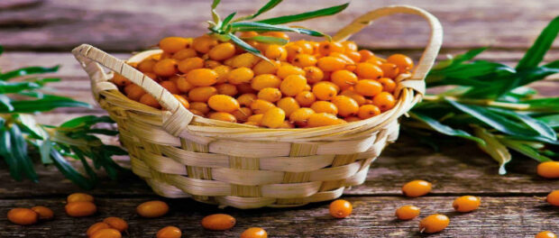 Screenshot youtube.com