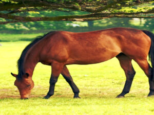 Screenshot-youtube-dfkdsfdskjfdskcxcxmvcxmvncxm