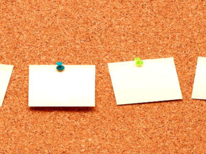 A land in the bureaucracy's choke hold Screenshot twitter.com