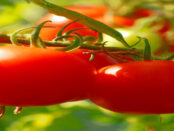 Screenshot youtube.com