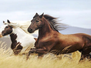 Screenshot-youtube-com-fghdfgdsgfdg