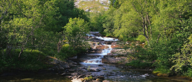 Screenshot youtube.com