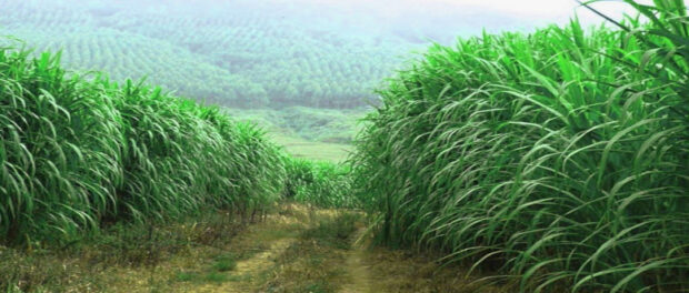 Screenshot youtube.com