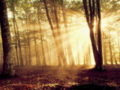 Screenshot youtube.com