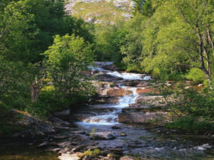 Screenshot youtube.com